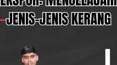 Jenis Kerang Ekspor: Menjelajahi Jenis-jenis Kerang