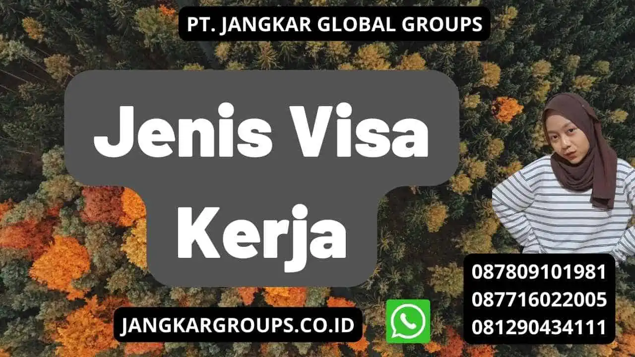 Jenis Visa Kerja