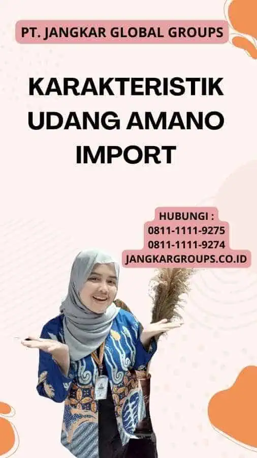 Karakteristik Udang Amano Import