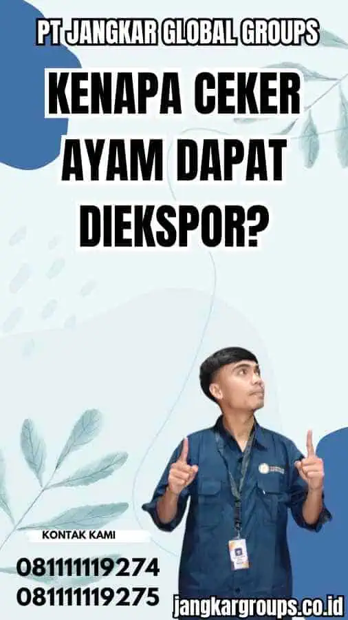 Kenapa Ceker Ayam Dapat Diekspor?