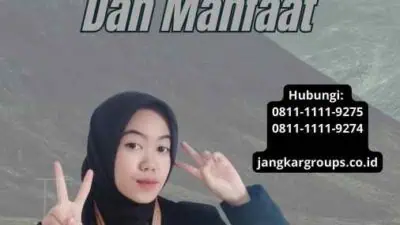 Mantu Impor Rcti Sejarah, Kegunaan, Dan Manfaat