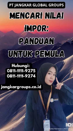 Mencari Nilai Impor Panduan untuk Pemula