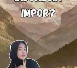 Mengapa Indonesia Impor