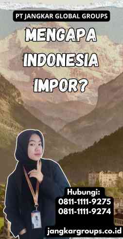 Mengapa Indonesia Impor