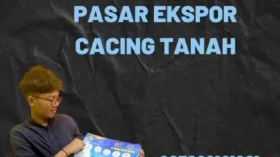 Pasar Ekspor Cacing Tanah