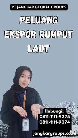 Peluang Ekspor Rumput Laut