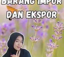 Perbedaan Barang Impor Dan Ekspor