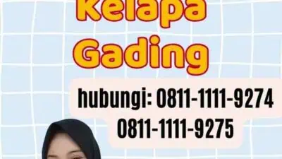 Perpanjangan Paspor di Kelapa Gading