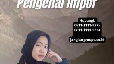 Persyaratan Pengurusan Angka Pengenal Impor