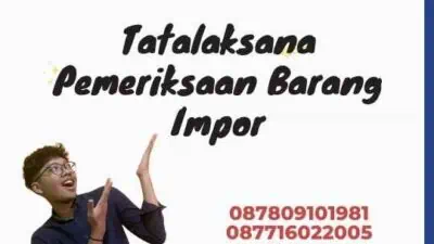 Tatalaksana Pemeriksaan Barang Impor