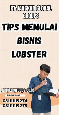 Tips Memulai Bisnis Lobster - Harga Lobster Air Tawar