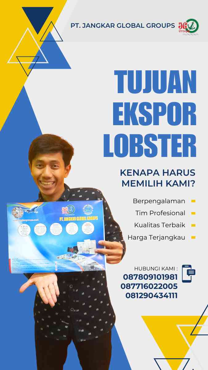 Tujuan Ekspor Lobster: Mengapa Jual Lobster ke Pasar