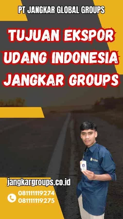 Tujuan Ekspor Udang Indonesia Jangkar Groups