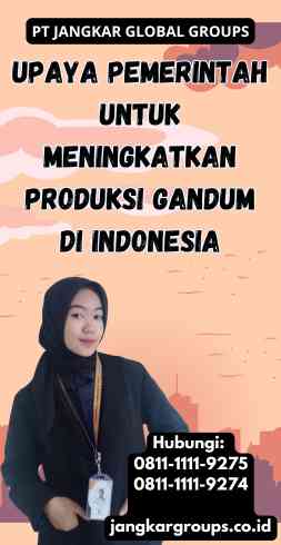 Upaya Pemerintah untuk Meningkatkan Produksi Gandum di Indonesia