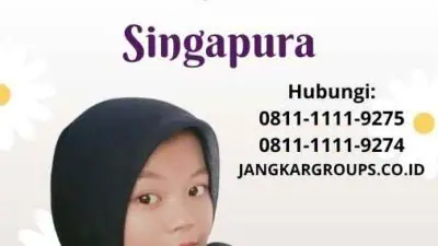 Visa China Singapore Panduan Lengkap Visa China di Singapura