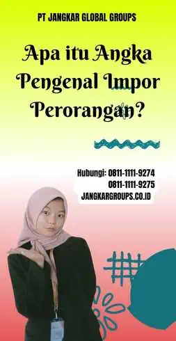 Apa itu Angka Pengenal Impor Perorangan