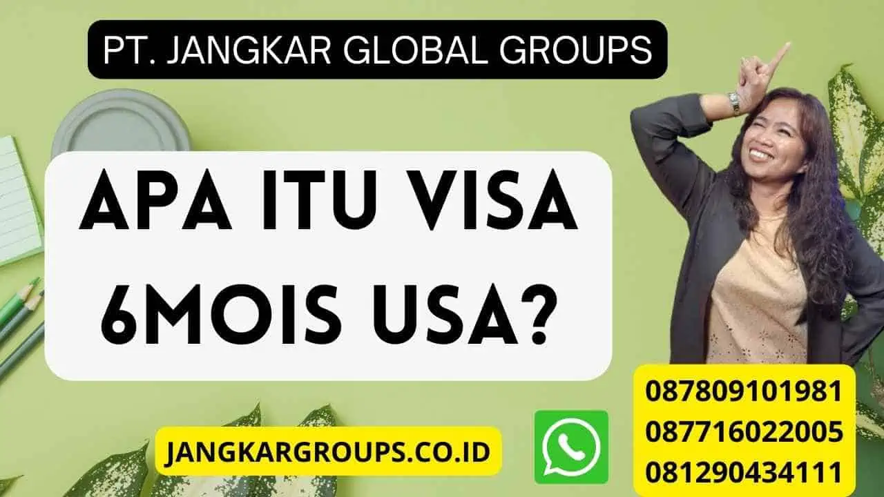 Apa itu Visa 6mois USA?