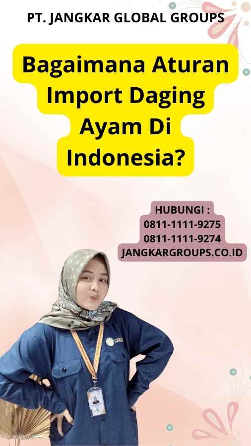 Bagaimana Aturan Import Daging Ayam Di Indonesia?