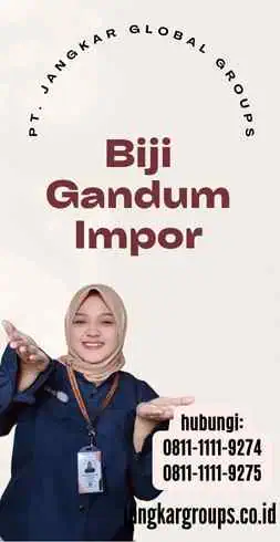 Biji Gandum Impor