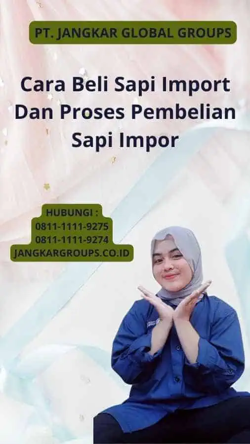 Cara Beli Sapi Import Dan Proses Pembelian Sapi Impor