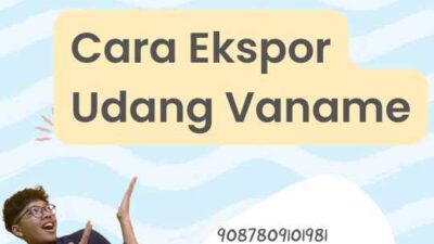 Cara Ekspor Udang Vaname