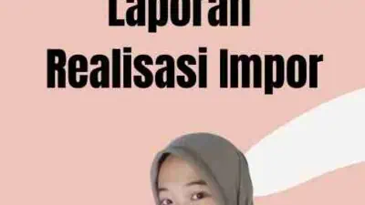 Cara Input Laporan Realisasi Impor