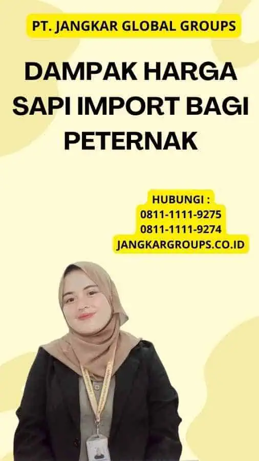 Dampak Harga Sapi Import bagi Peternak