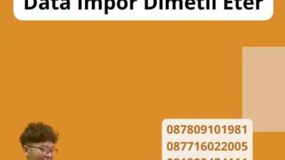 Data Impor Dimetil Eter