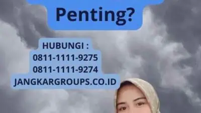 Import Saat Panen - Apa Itu dan Mengapa Penting?