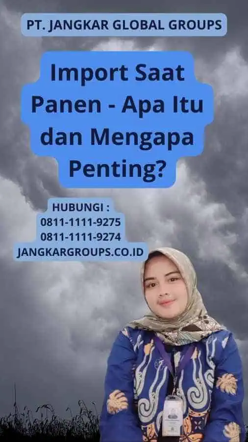 Import Saat Panen - Apa Itu dan Mengapa Penting?