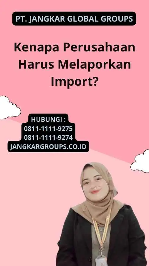 Kenapa Perusahaan Harus Melaporkan Import?