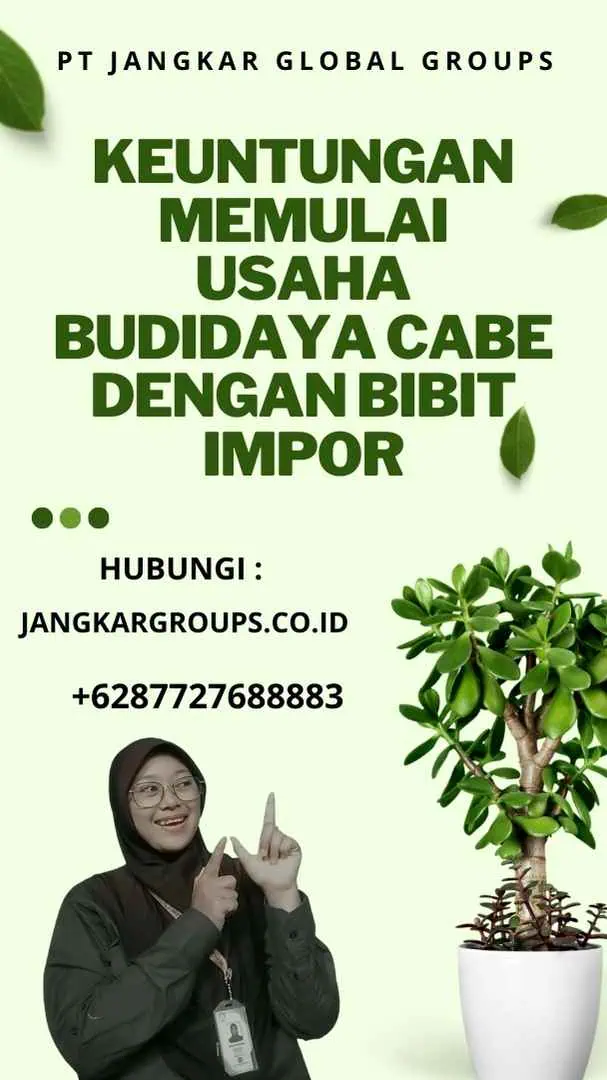 Keuntungan Memulai Usaha Budidaya Cabe dengan Bibit Impor