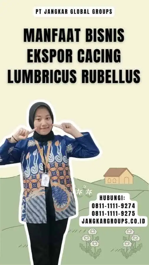 Manfaat bisnis ekspor cacing Lumbricus Rubellus