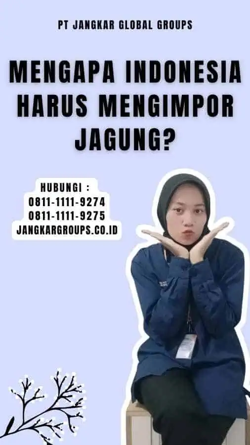 Mengapa Indonesia Harus Mengimpor Jagung