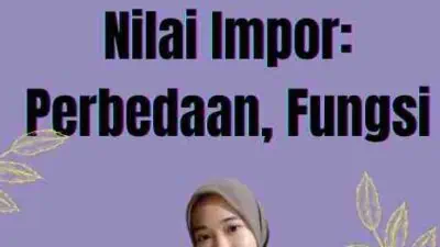 Nilai Pabean Dan Nilai Impor: Perbedaan, Fungsi