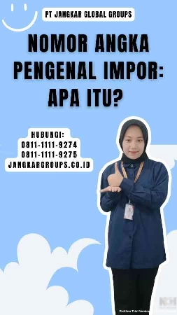 Nomor Angka Pengenal Impor Apa Itu