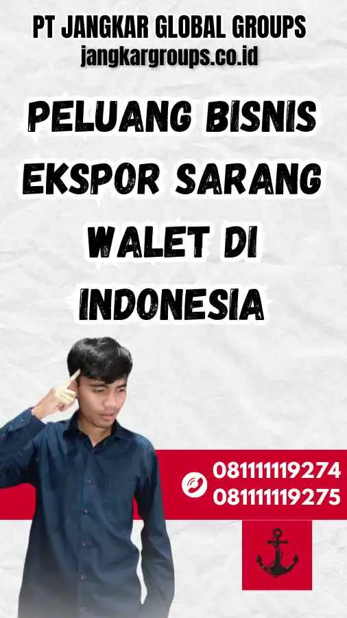 Peluang Bisnis Ekspor Sarang Walet di Indonesia