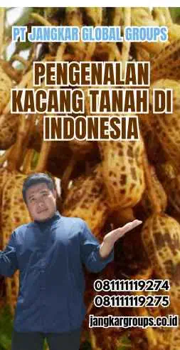 Pengenalan Kacang Tanah di Indonesia