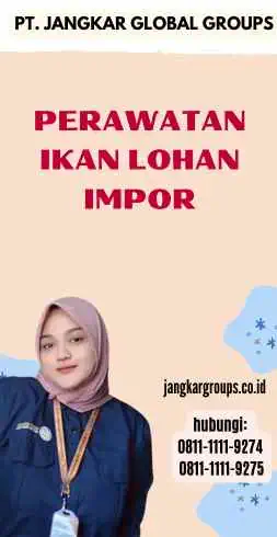 Perawatan Ikan Lohan Impor