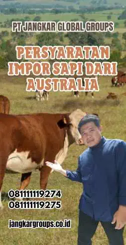 Persyaratan Impor Sapi Dari Australia