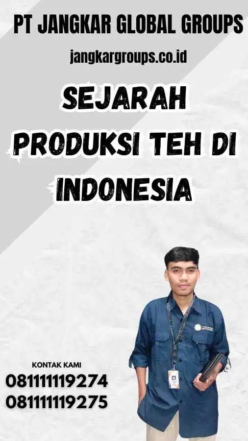 Sejarah Produksi Teh di Indonesia