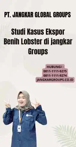 Studi Kasus Ekspor Benih Lobster di jangkar Groups