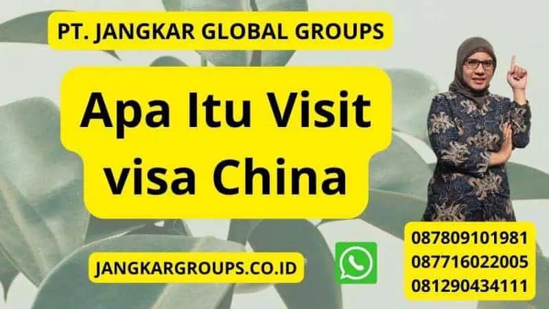 Apa Itu Visit visa China