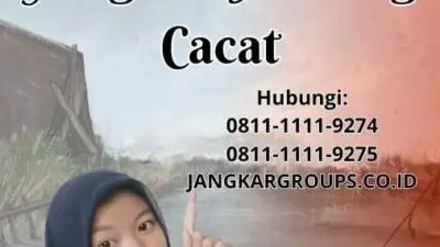 Proses Pindah Ke Kewarganegaraan Yang Penyandang Cacat