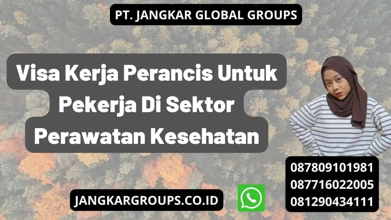 Visa Kerja Perancis Untuk Pekerja Di Sektor Perawatan Kesehatan