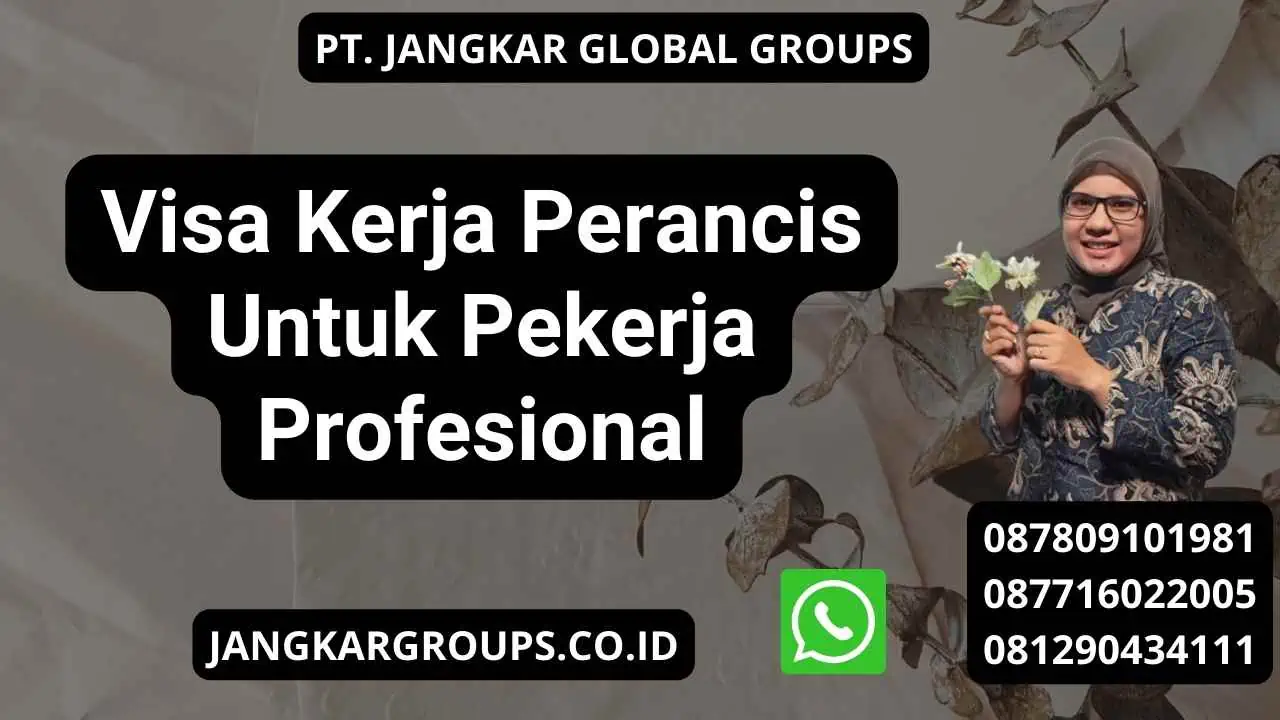 Visa Kerja Perancis Untuk Pekerja Profesional