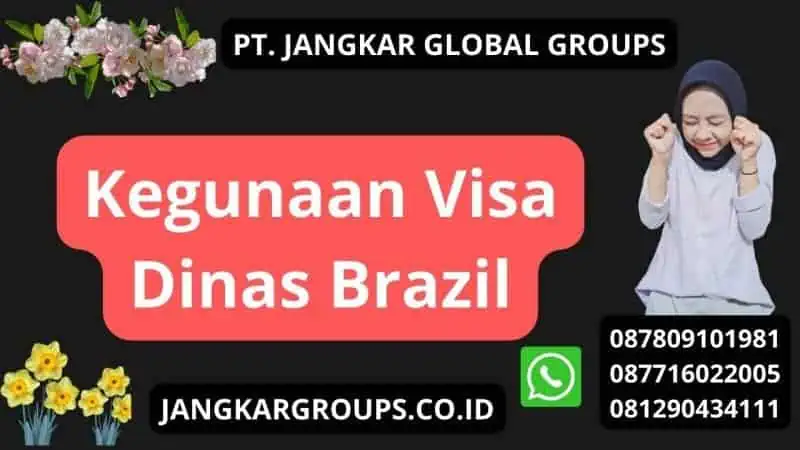 Kegunaan Visa Dinas Brazil