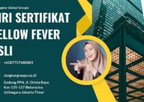 Ciri Sertifikat Yellow Fever Asli