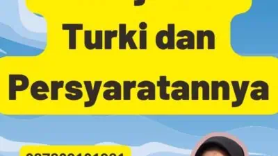 Apa Itu Penerjemah Turki dan Persyaratannya