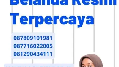 Harga Penerjemah Belanda Resmi Terpercaya